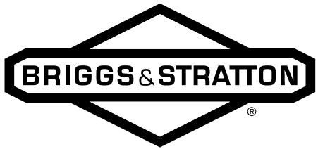 BRIGGS & STRATTON BRIGGS & STRATTON 585447 - Podatki o garanciji - 1