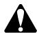 BRIGGS & STRATTON BRIGGS & STRATTON 585447 - SIMBOLURI DE SIGURANTA I CONTROL - 24