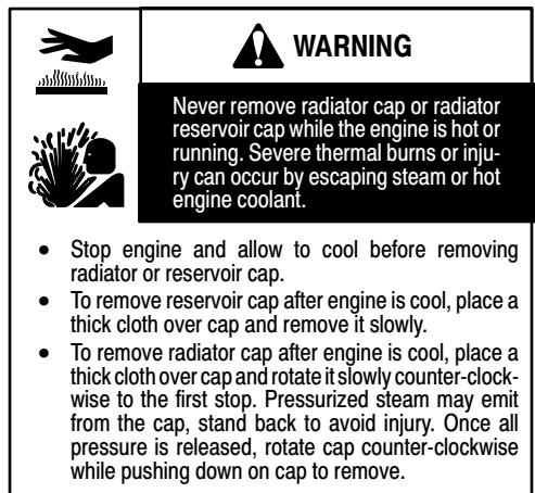 BRIGGS & STRATTON BRIGGS & STRATTON 613100 - CAUTION: - 1