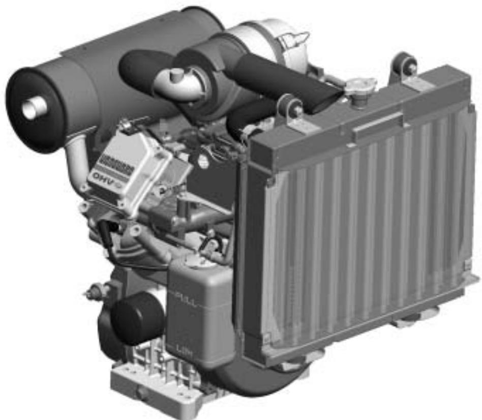BRIGGS & STRATTON BRIGGS & STRATTON 613100 - 2