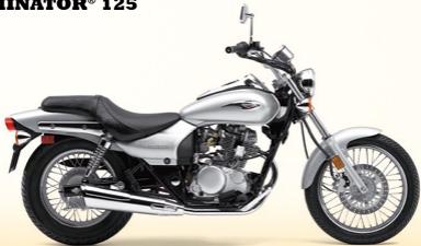 KAWASAKI VN2000 CLASSIC - customized Cruisers - 14