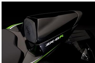 KAWASAKI NINJA ZX-6R PERFORMANCE - masterpiece - 3