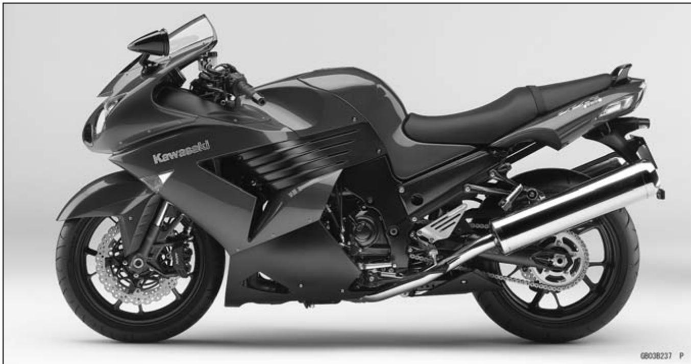 KAWASAKI ZZR 1400 - Model Identification - 1