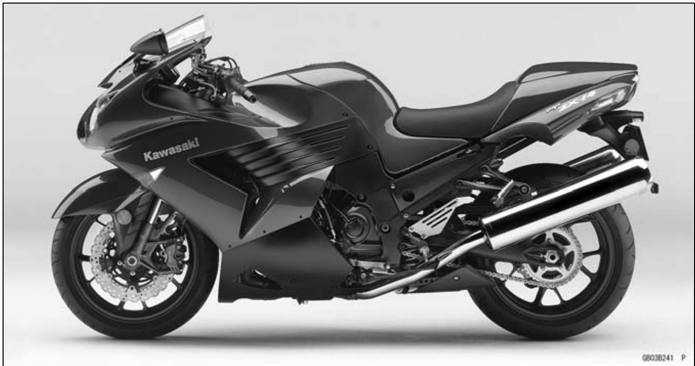 KAWASAKI ZZR 1400 - Model Identification - 1