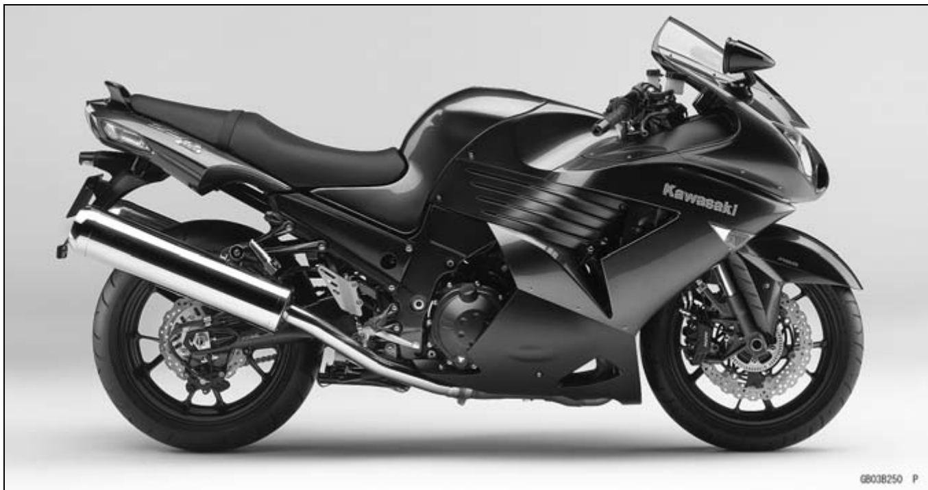 KAWASAKI ZZR 1400 - Model Identification - 2
