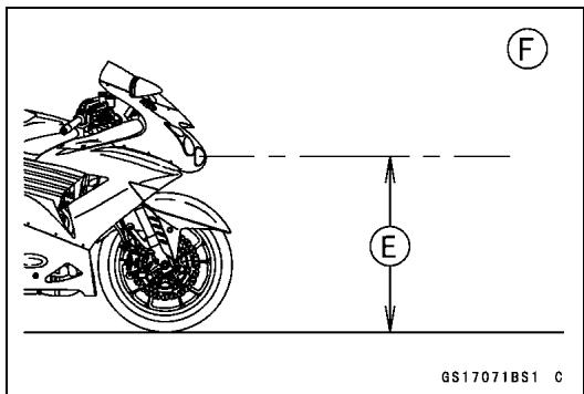 F E GS17071BS1 C