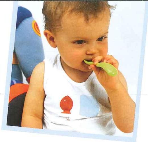 BEABA BABYCOOK RECETTES - Plan de diversification alimentaire - 1