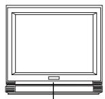 DAEWOO DV-1300S - WIEDERGABEVON DISKS - 1