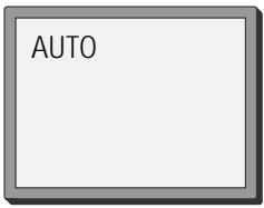 DAEWOO DVG-3000N - SYSTEM SETTING - 4