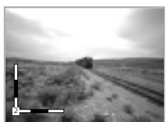 DAEWOO SD-9100 - Using a zoom function - 2