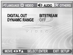 DAEWOO SD-9500 - Audio Setup - 2