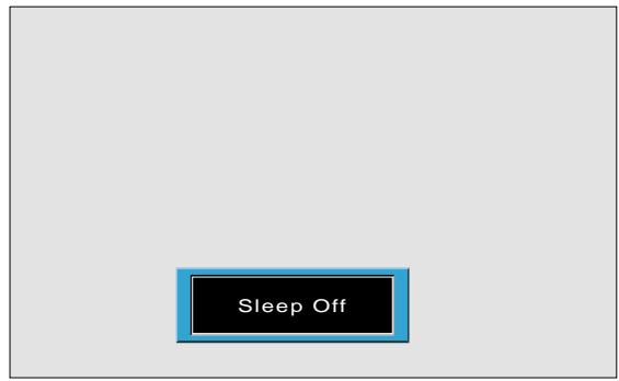 DAEWOO SP-200P - Press the "SLEEP" Button. Press the "SLEEP" button - 2