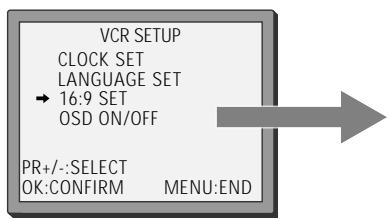 DAEWOO ST441S - : 9 Wide Screen Format Playing back / Recording - 1