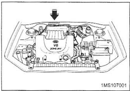 KIA MAGENTIS - LABEL INFORMATION - 1