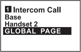 VTECH VT 5801 - Global Page from Handset - 2