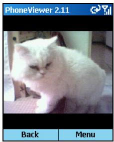MIO 8390 - Full Screen View - 1