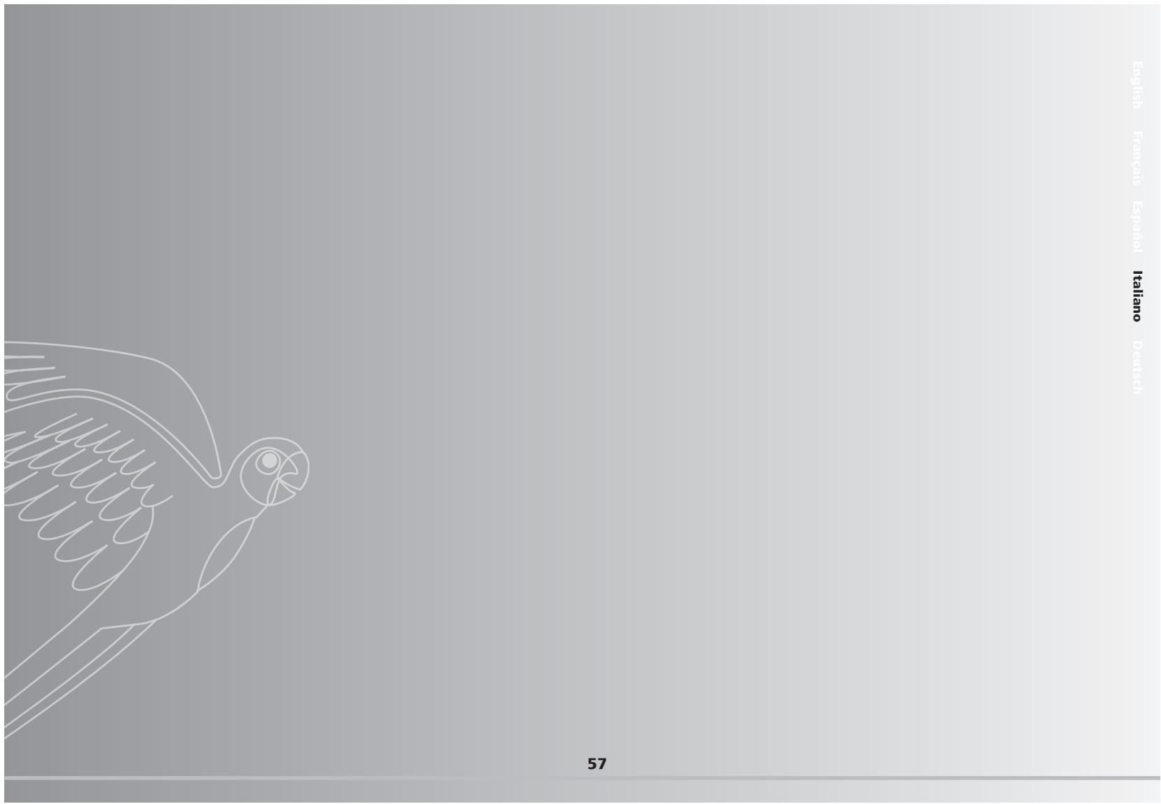 PARROT CK3100 LCD - OBSERVACIONES - 1