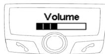 PARROT CK3300 - SAP - 3
