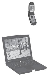 PARROT PHOTO VIEWER - WSTEP - 1