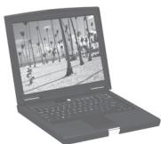 PARROT PHOTO VIEWER - AtooToaTóYtloAoIotn - 1