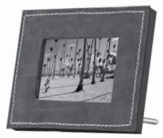 PARROT PHOTO VIEWER - Parrot PHOTO VIERWER - 3