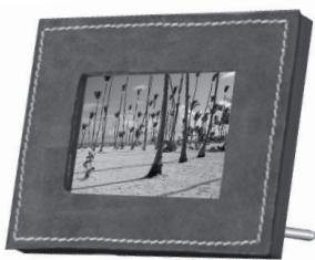 PARROT PHOTO VIEWER - Wybrać ustawuminium - 2