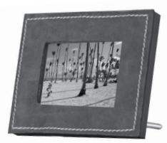 PARROT PHOTO VIEWER - Parrot PHOTO VIEWER - 3