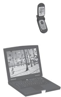 PARROT PHOTO VIEWER - Parrot PHOTO VIERWER - 1