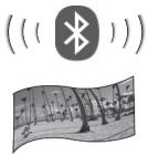 PARROT PHOTO VIEWER - 2