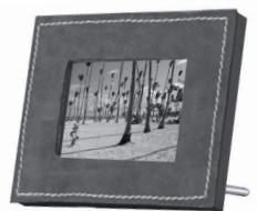 PARROT PHOTO VIEWER - WSTEP - 3