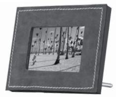 PARROT PHOTO VIEWER - Parrot PHOTO VIEWER - 3