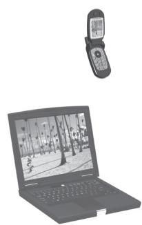 PARROT PHOTO VIEWER - Parrot PHOTO VIEWER - 1
