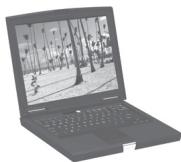 PARROT PHOTO VIEWER - 从计算机上发送 - 1