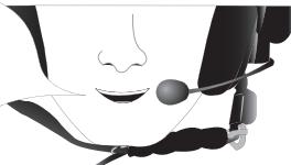 PARROT SK4000 - Making a call via voice recognition - 3