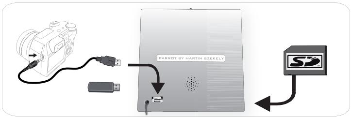 PARROT GRANDE SPECCHIO - 將相框作為存儲設備使用 - 2