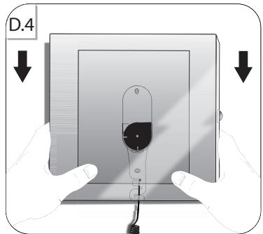 PARROT GRANDE SPECCHIO - 10