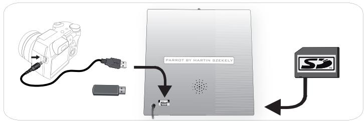 PARROT GRANDE SPECCHIO - Utiliser le cadre avec un périphérique de stockage - 2