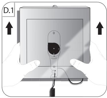 PARROT GRANDE SPECCHIO - 7