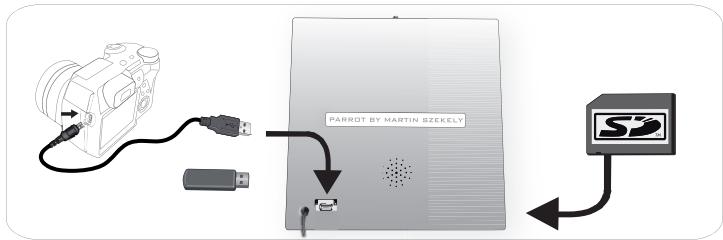 PARROT GRANDE SPECCHIO - Using the Frame with a Storage Device - 2