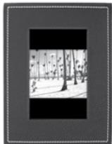 PARROT PHOTO VIEWER 7 - CERCERVENIPOZISYONU - 2