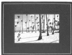 PARROT PHOTO VIEWER 7 - Resimlerin görünme siralari - 1