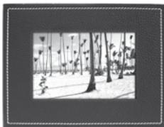 PARROT PHOTO VIEWER 7 - PopdoK noka3n3o6paXeHn - 1