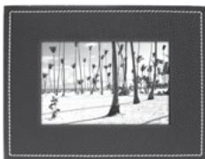 PARROT PHOTO VIEWER 7 - AiataaTswEikovwOtnvOboVn - 1