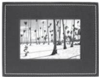 PARROT PHOTO VIEWER 7 - CERCERVENIPOZISYONU - 1