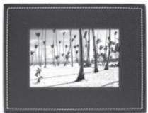 PARROT PHOTO VIEWER 7 - PpOoavatoAioG TAAIOIou - 1
