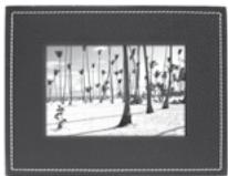 PARROT PHOTO VIEWER 7 - OncanHe 3NaKOB NdyHKUIN - 11