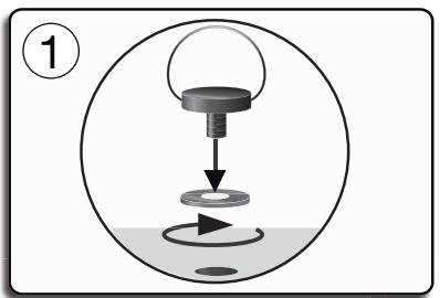 PARROT PUTMAN - Diagrams: - 4