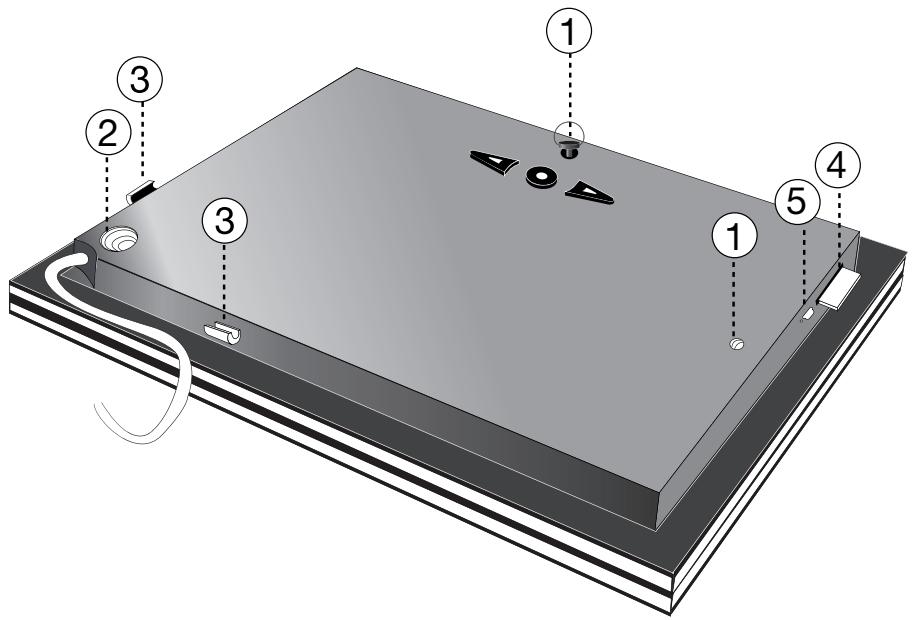PARROT PUTMAN - Diagrams: - 3