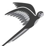 PARROT SPECCHIO - Licences - 7