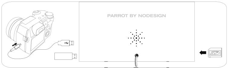 PARROT DIA - Utilizzazione della cornice con una periferica di memorizzazione - 2